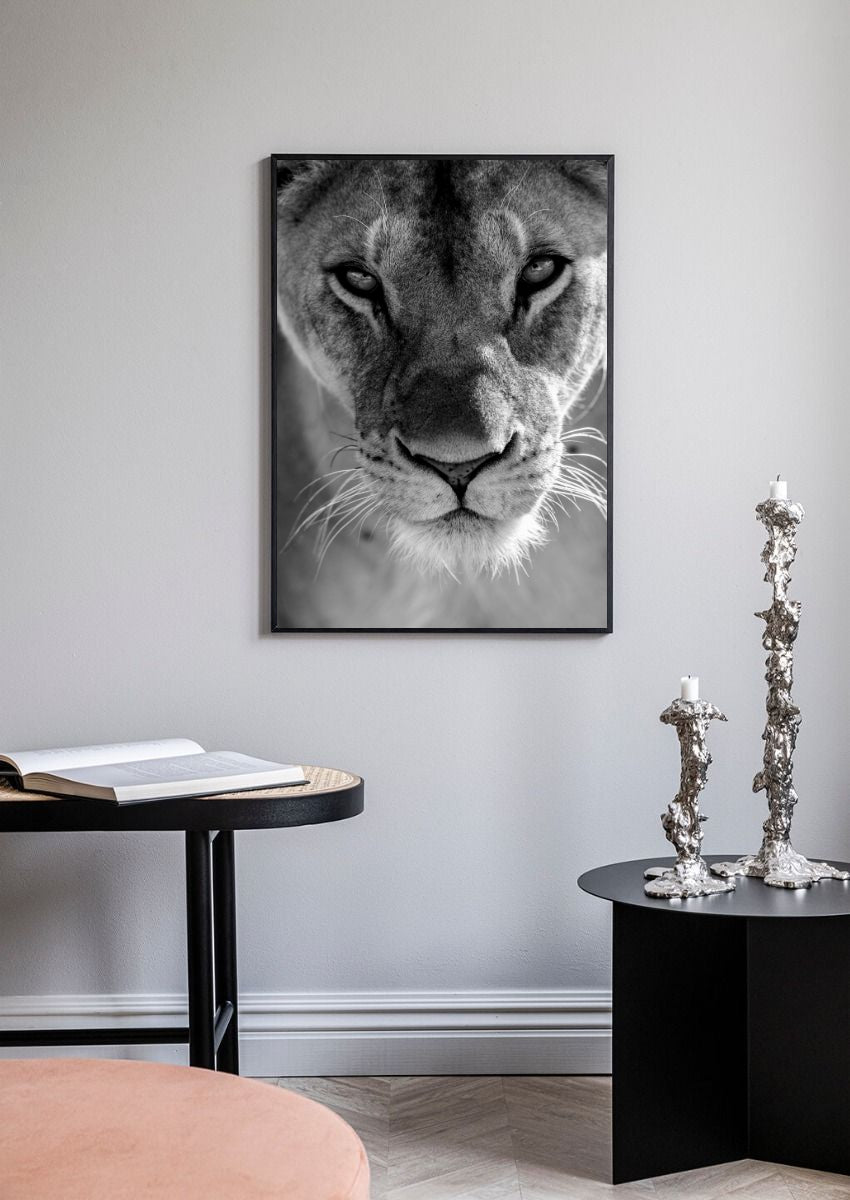 Lioness No3 Poster
