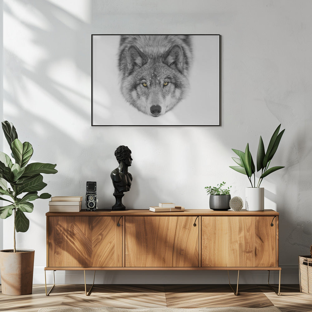 Timber Wolf No2 Poster