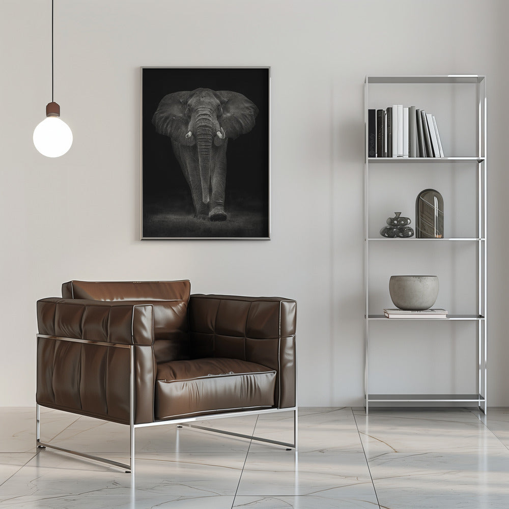 Ngorongoro Bull Poster