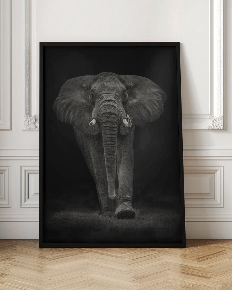 Ngorongoro Bull Poster