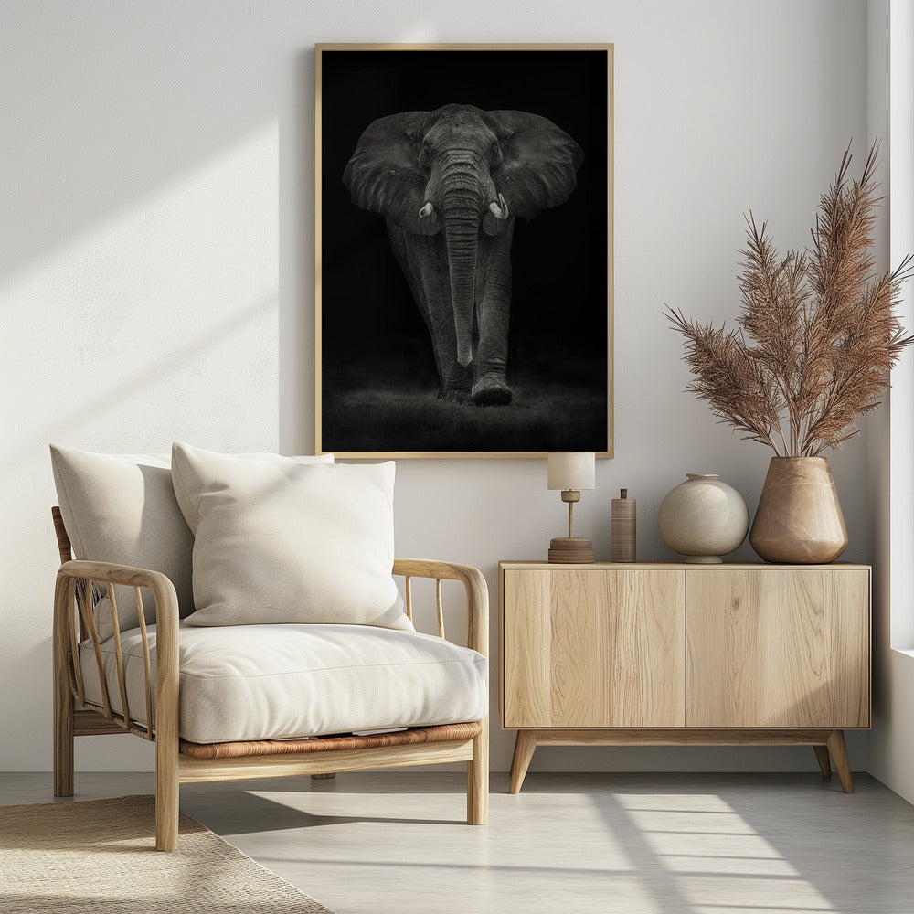 Ngorongoro Bull Poster
