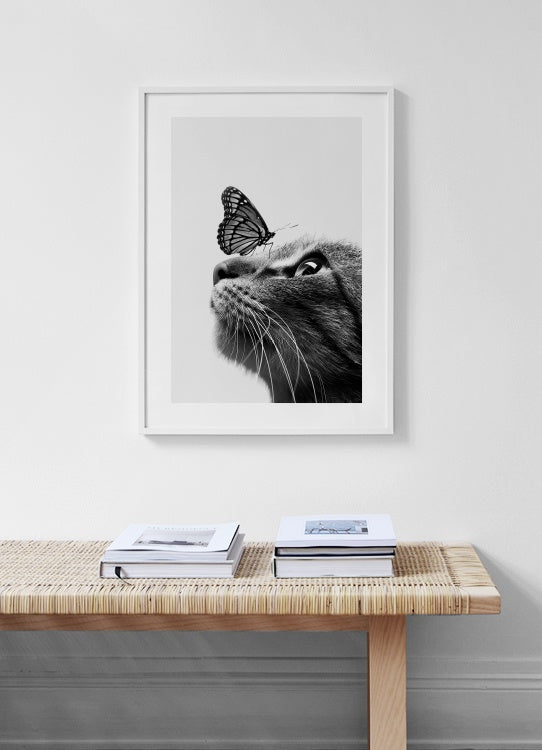 Butterfly Cat Poster