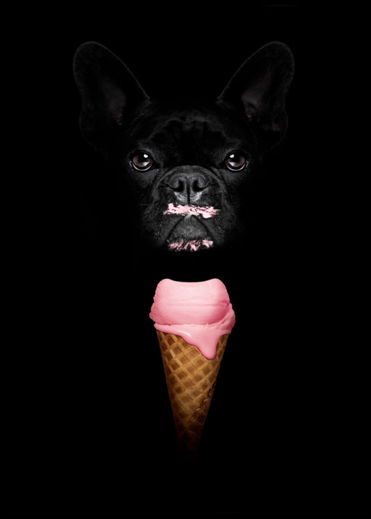 Ice Cream Bulldog Poster