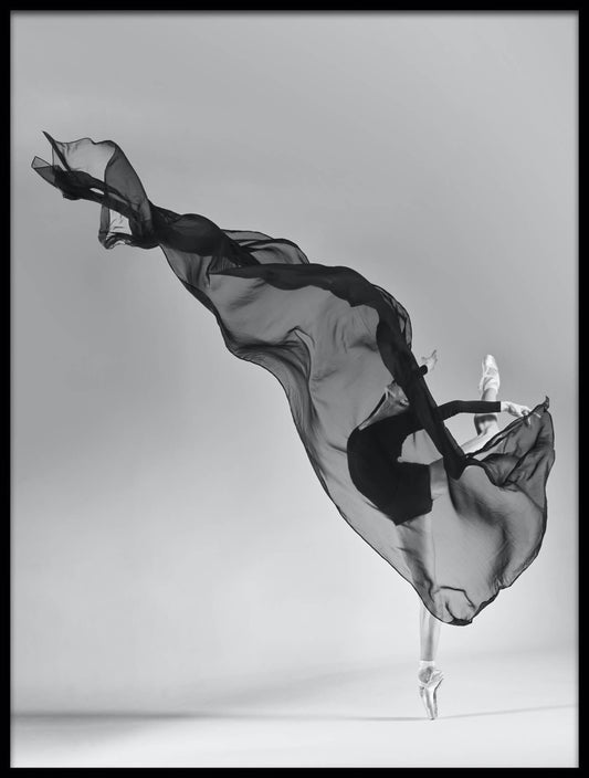 Ballet Dancer Poster