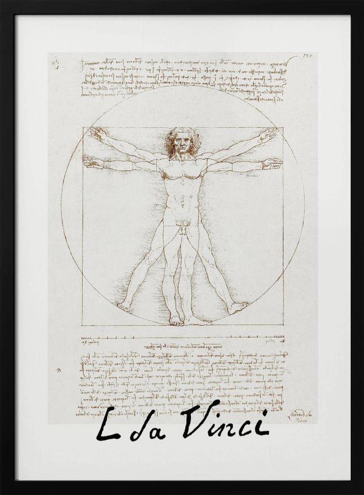 Vitruvian Man Signature By Leonardo Da Vinci Canvasposter